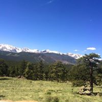 Vicki Middleton Photo 7