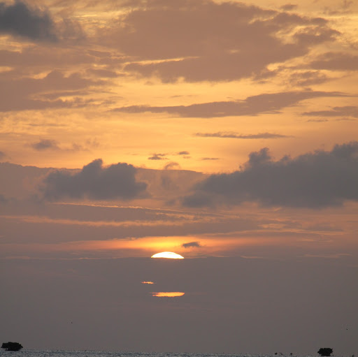 Michael Loeb Photo 15