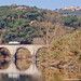 Frank Fiorentino Photo 28