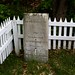Richard Potter Photo 35