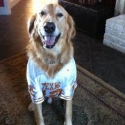 Bobby Fitzgerald Photo 9