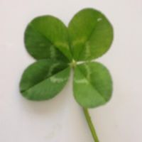 Jennifer Jamison Photo 8 Jennifer Jamison Photo 8