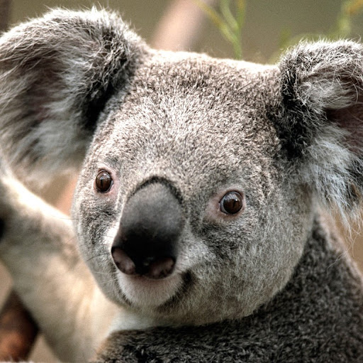 Rosemary Patterson Photo 28