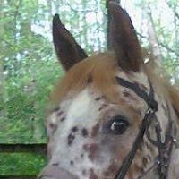 Kirby Taylor Photo 29