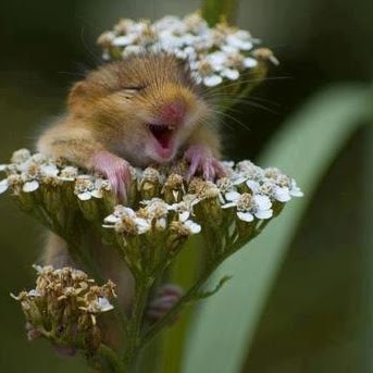 Jonathan Bloch Photo 33