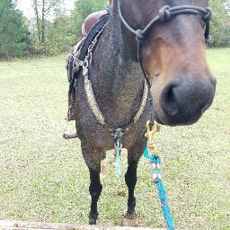 Brooke Black Photo 17