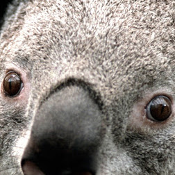 Jacob Fields Photo 20