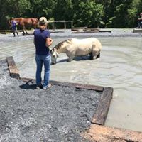 Donna Fogle Photo 19