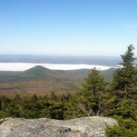 Terry Moulton Photo 19