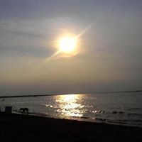 Darlene Coffman Photo 12