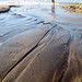 Sandy Compton Photo 39