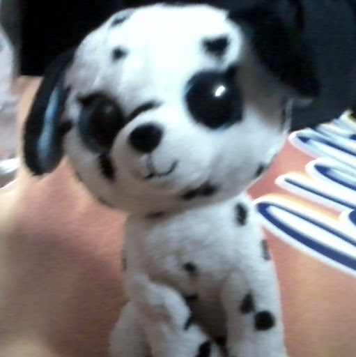 Terry Devore Photo 9