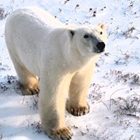 Barbara Baumann Photo 25