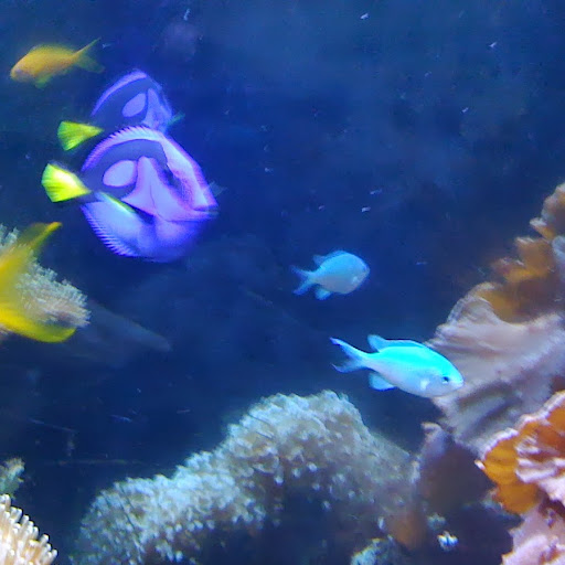 Margaret May Photo 9