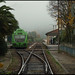 Allan Branch Photo 12