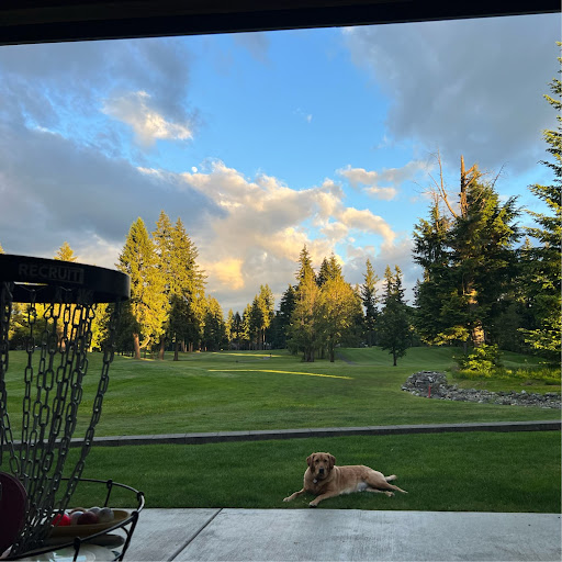 David Welsh Photo 40 David Welsh Photo 40