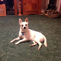 Dana Nichols Photo 33