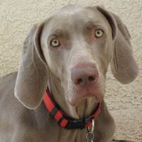 Nancy Archie Photo 3