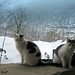 Douglas Richards Photo 29