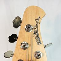 Steve Benjamin Photo 21