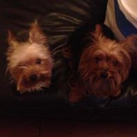 Michelle Flood Photo 27