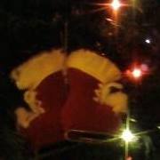 Janice Koehler Photo 10