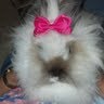 Brenda Finney Photo 4