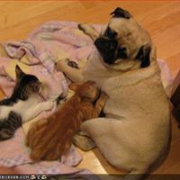 John Novak Photo 23 John Novak Photo 23