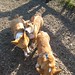 Harvey Tucker Photo 9