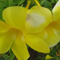 Geraldine Banks Photo 11