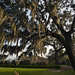 Brent Slone Photo 13