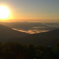 Carol Burks Photo 10