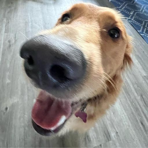 Amanda Mcpherson Photo 15