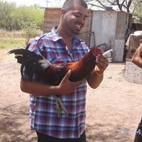 Rene Angulo Photo 15
