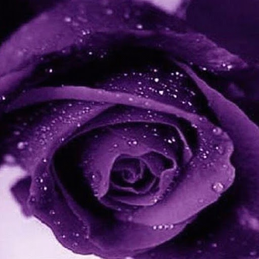 Martha Gillespie Photo 7