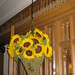 Lynn Olins Photo 6