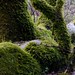 Brandy Moss Photo 39