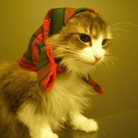 Lisa Whelan Photo 19