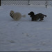 Aimee Barney Photo 13