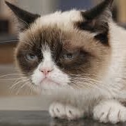 Harry Grant Photo 34