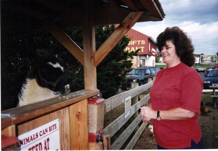 Sandra Morton Photo 33