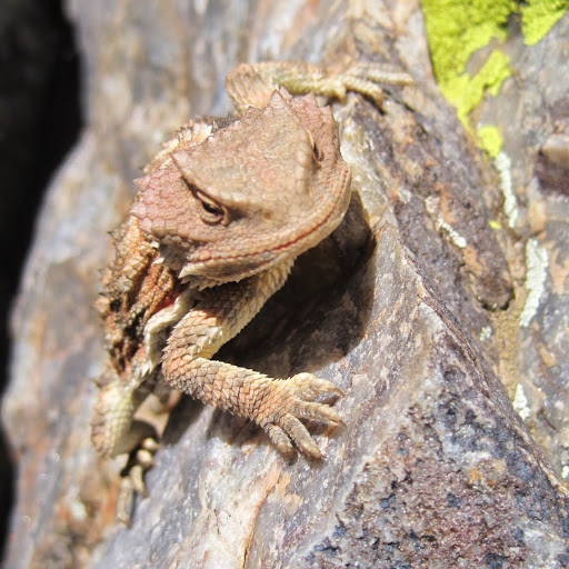 Michael Toomey Photo 13