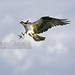Steven Daugherty Photo 32