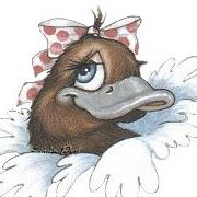 Carol Baxter Photo 27