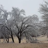 Cindy Haney Photo 38