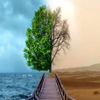 Renee Shannon Photo 35