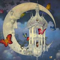 Tracy Bradshaw Photo 38