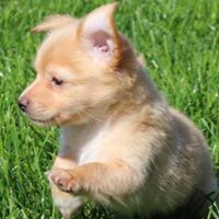 Debra Hembree Photo 3