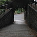 Robert Tryon Photo 37