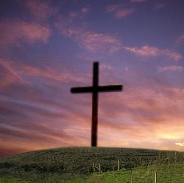 Lisa Summers Photo 14